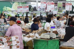 Napa cabbage up 26%, apples up 22% as food prices surge ahead of Chuseok