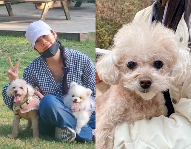 사진=한승연 채널