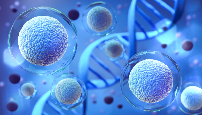 A microscopic image of human embryonic stem cells rendered in 3D. [Getty Images Bank]