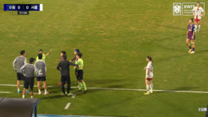 Football body opens disciplinary case against referee over alleged remark on player