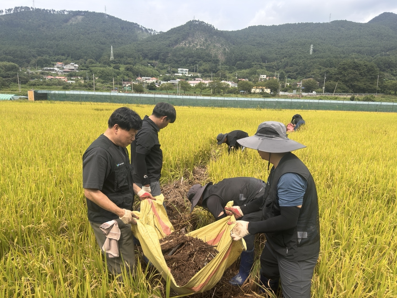 Pyeongchang-gun Facilities Management Corporation staff carry out recovery work in Geoje after traveling from Pyeongchang-gun.