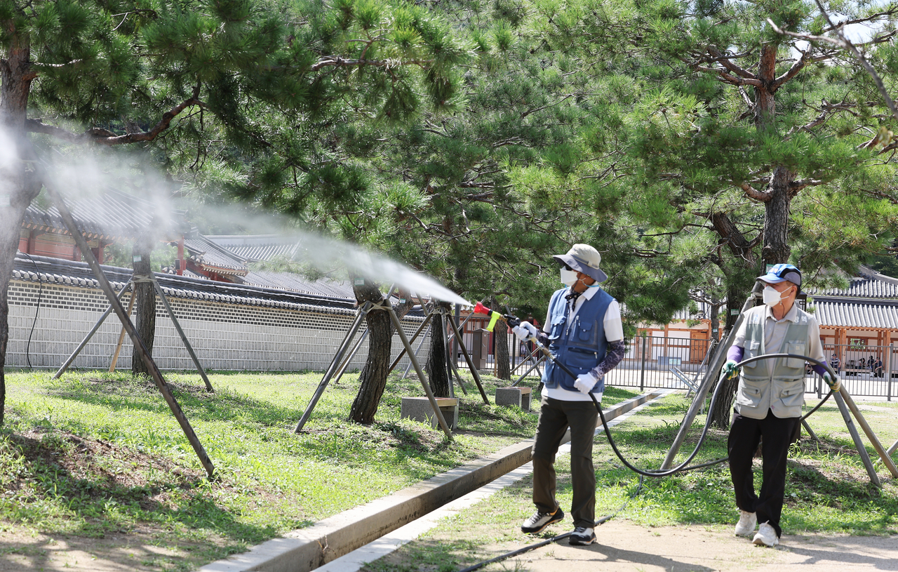 지난달 25일 경기도 수원시 팔달구 화성행궁 주변에서 팔달구보건소 관계자들이 모기 방역을 하고 있다. [연합]