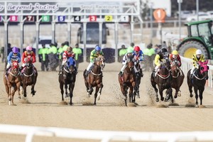 Korea Racing Authority to hold online-only Thursday races on Sept. 10, 17