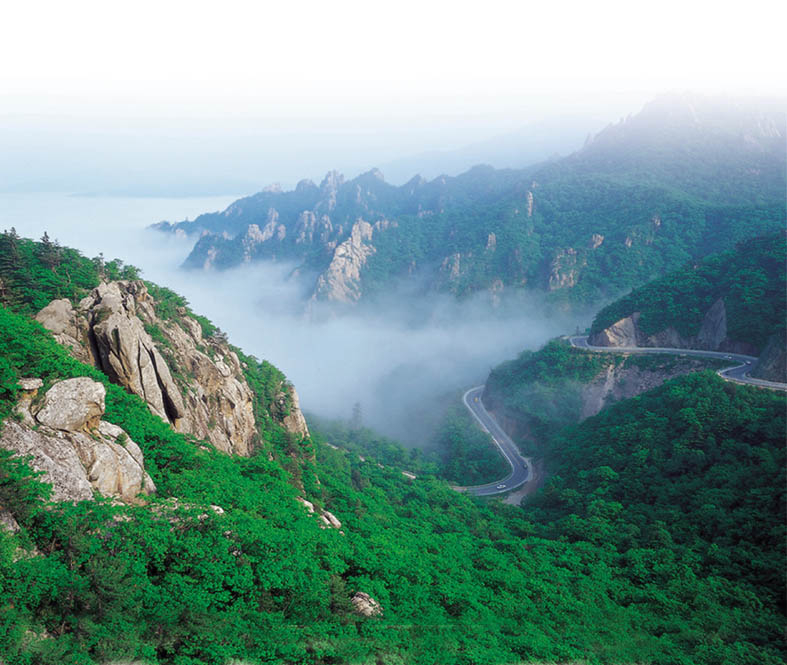 A wellness travel image for the Sokcho-Goseong-Yangyang corridor, featuring Osaeknyeong