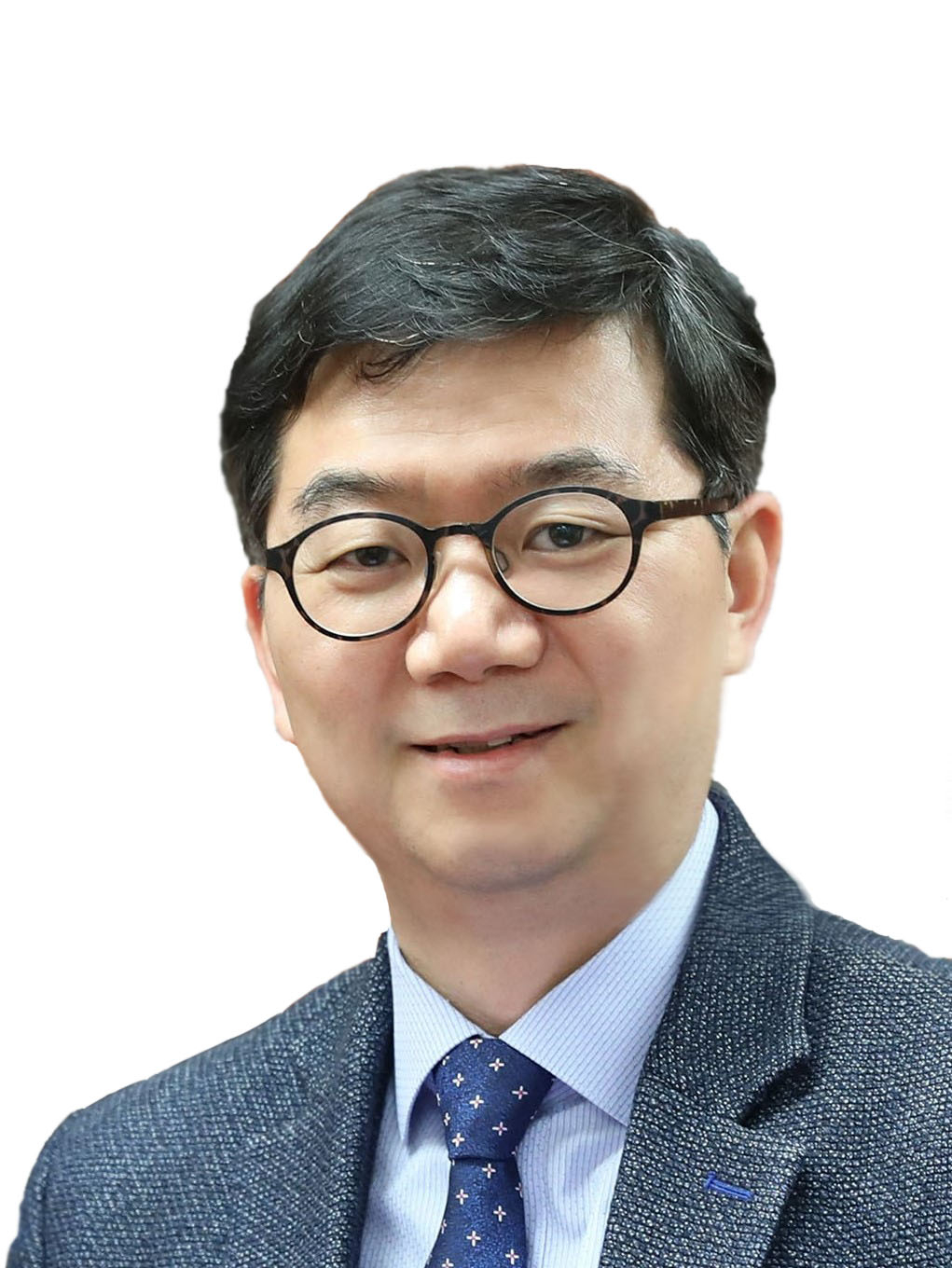 KAIST Professor Choi Sung-yool. [Provided by KAIST]