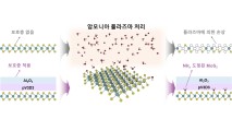 “필요한 곳만 쏙쏙 도핑” 구조 손상없이…‘2차원반도체’ 성능 260배 높였다