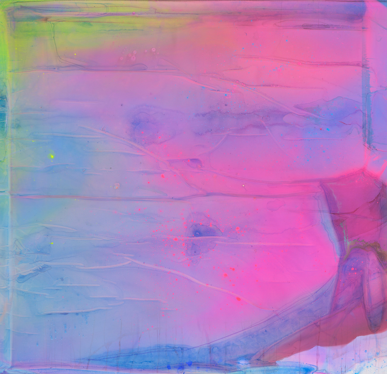 김택상 ‘Ice blossom 26-53, 2026’. [김택상. 조현화랑 제공]