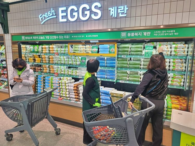 소비자들이 계란 매대 앞에서 상품들을 살펴보고 있다. [롯데마트]