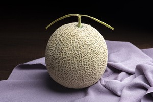 900년 전엔 멜론이 반찬이었다?…한국 참외 닮았던 동아시아 멜론에 숨겨진 비밀 [후암동 논문 연구소]