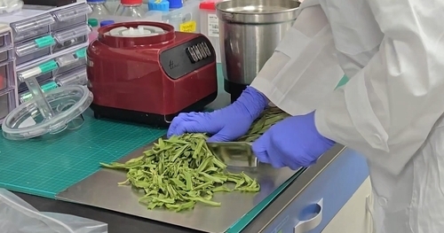 [Provided by the Ministry of Food and Drug Safety]