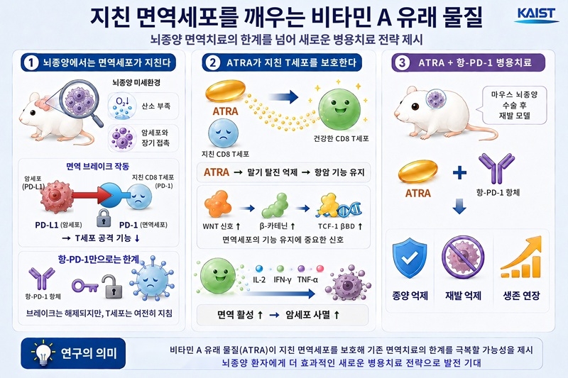 이번 연구성과 모식도(AI 생성 이미지).[KAIST 제공]