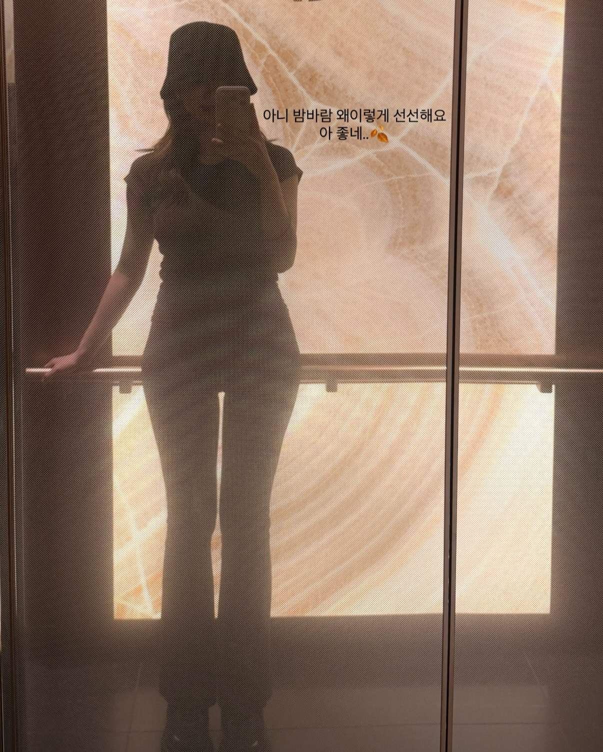 김지영 채널