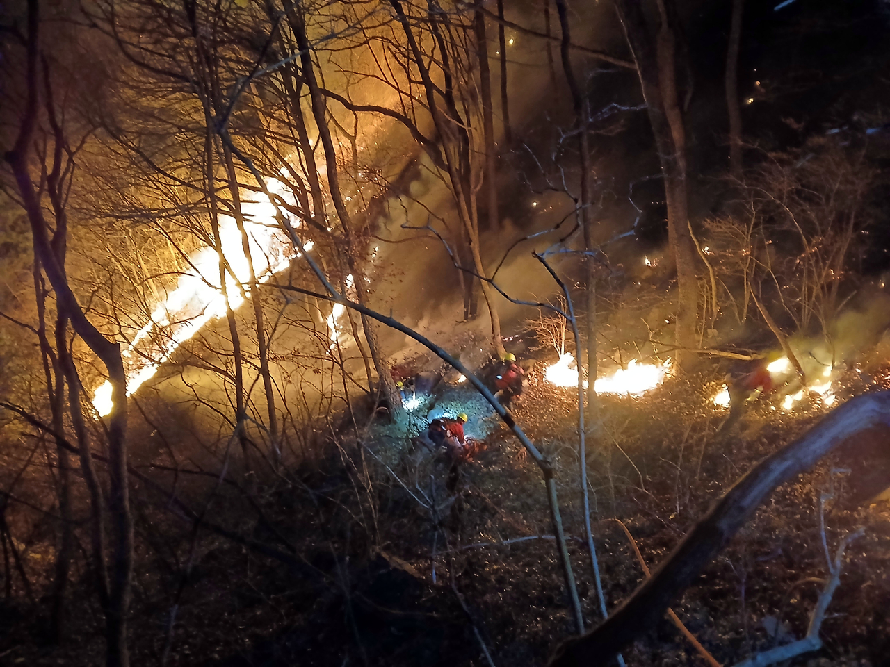 Forest authorities carry out wildfire suppression operations in Macheon-myeon, Hamyang-gun, South Gyeongsang Province. (Korea Forest Service)