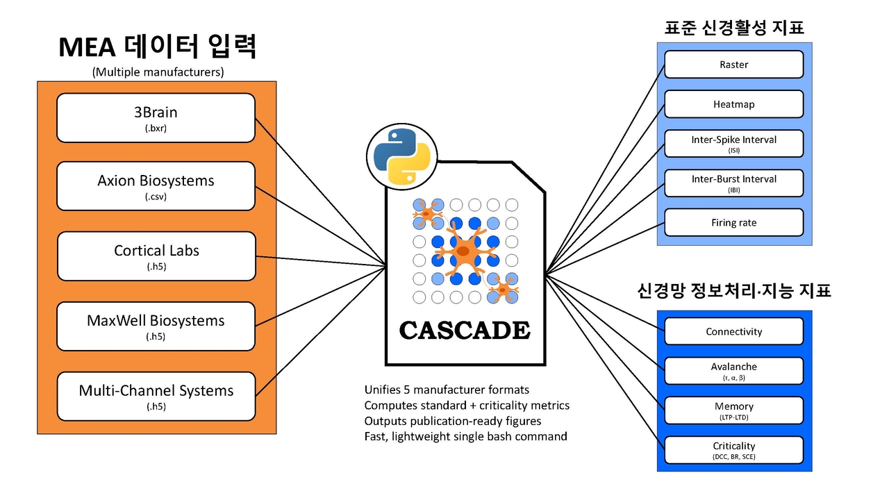 제조사별 MEA 데이터를 통합해 신경망 정보처리 능력까지 분석하는 CASCADE.[KIT 제공]