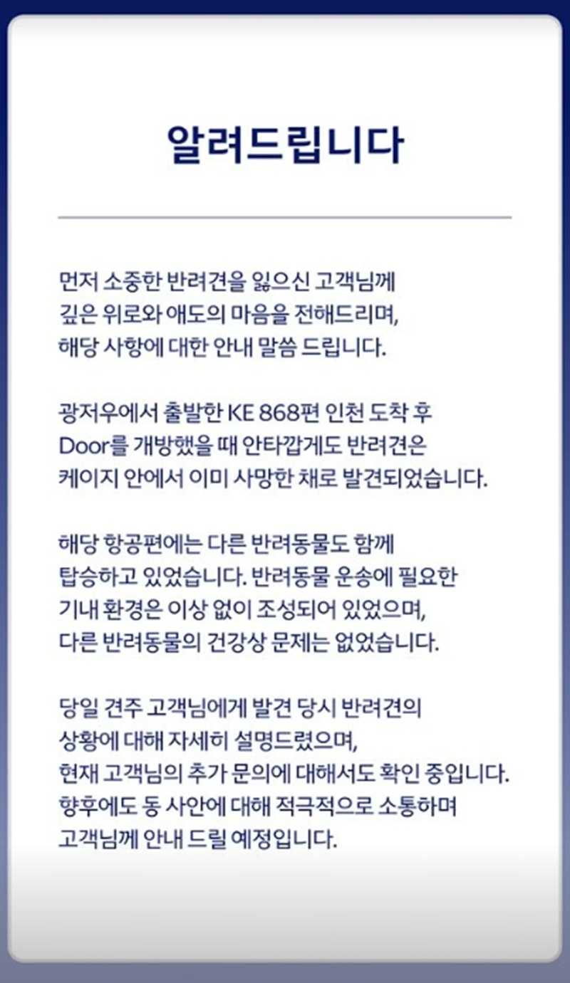 Statement issued by Korean Air (Instagram)