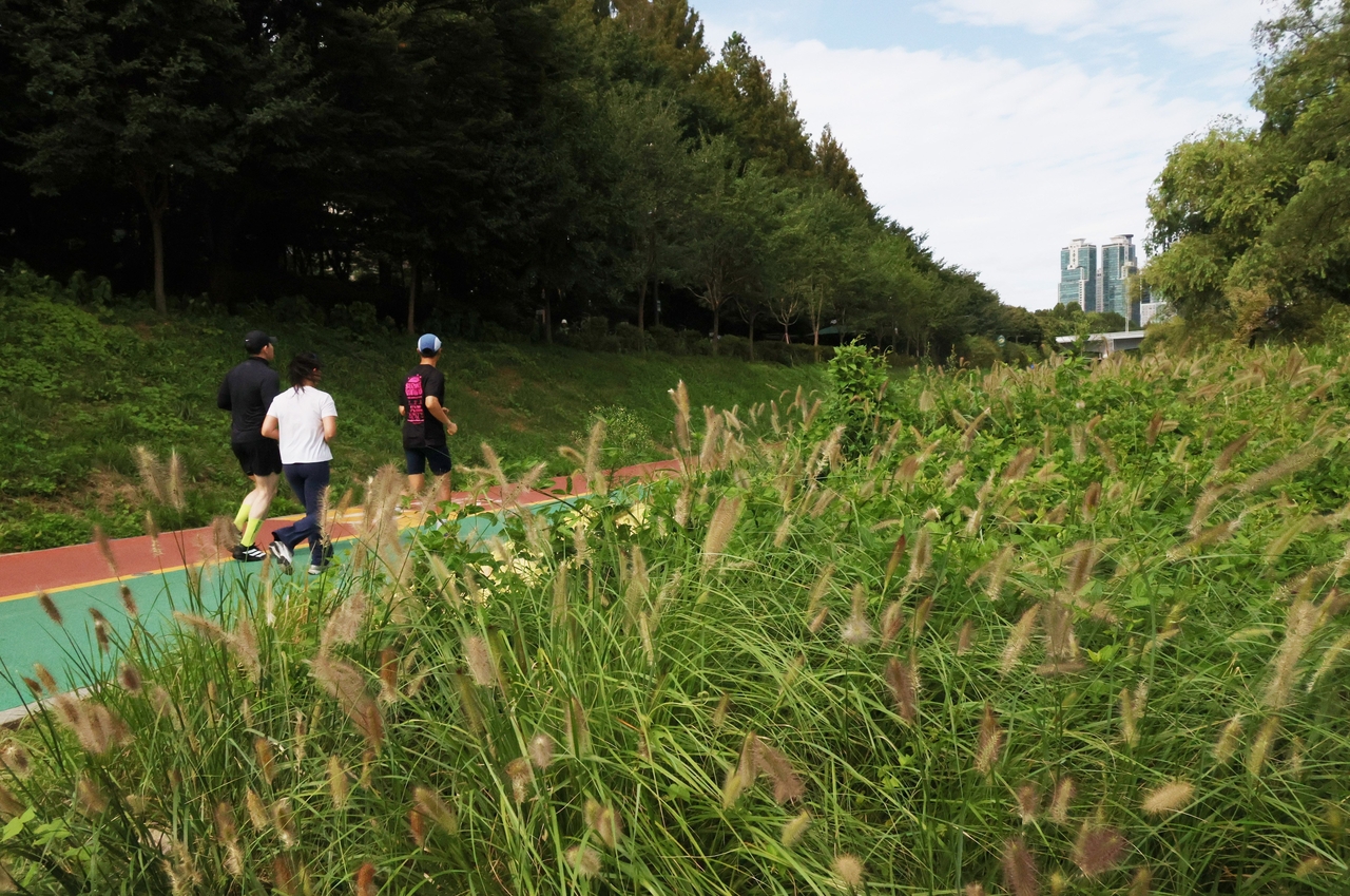 Runners exercise along Yangjae Stream in Seoul on Wednesday. (Yonhap)