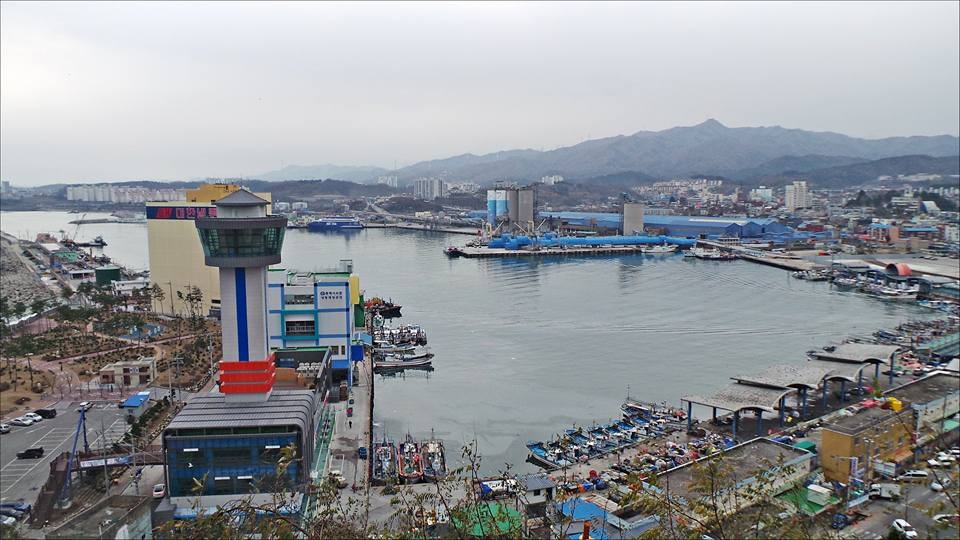 동해 논골담길 바람의언덕에서 내려다본 묵호항과 어판장
