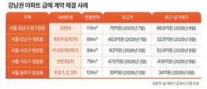 현금부자, ‘10억 하락’ 강남 상급지 잇단 입성
