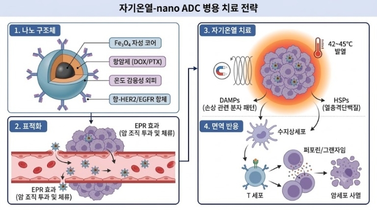 The mechanism of combined magnetic hyperthermia and nano-ADC therapy. An external magnetic field stimulus (42 to 45 degrees Celsius) simultaneously induces drug release and an anticancer immune response.