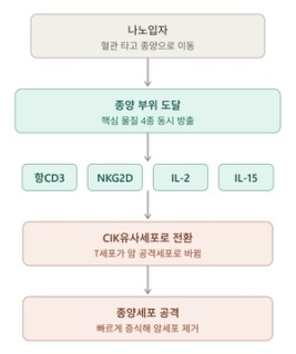 [김태열의 생생건강S펜] “인류의 암 정복, 점점 정교해지는 면역항암치료..‘나노’기술 접목한다”