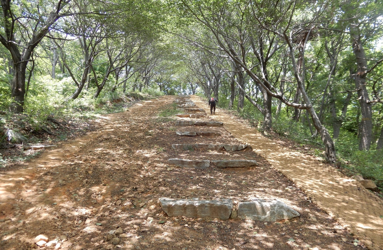 울산시 북구 염포 누리길이 국토교통부의 ‘개발제한구역 주민지원사업’에 선정돼 내년에 깨끗이 정비된다. [울산 북구청 제공]