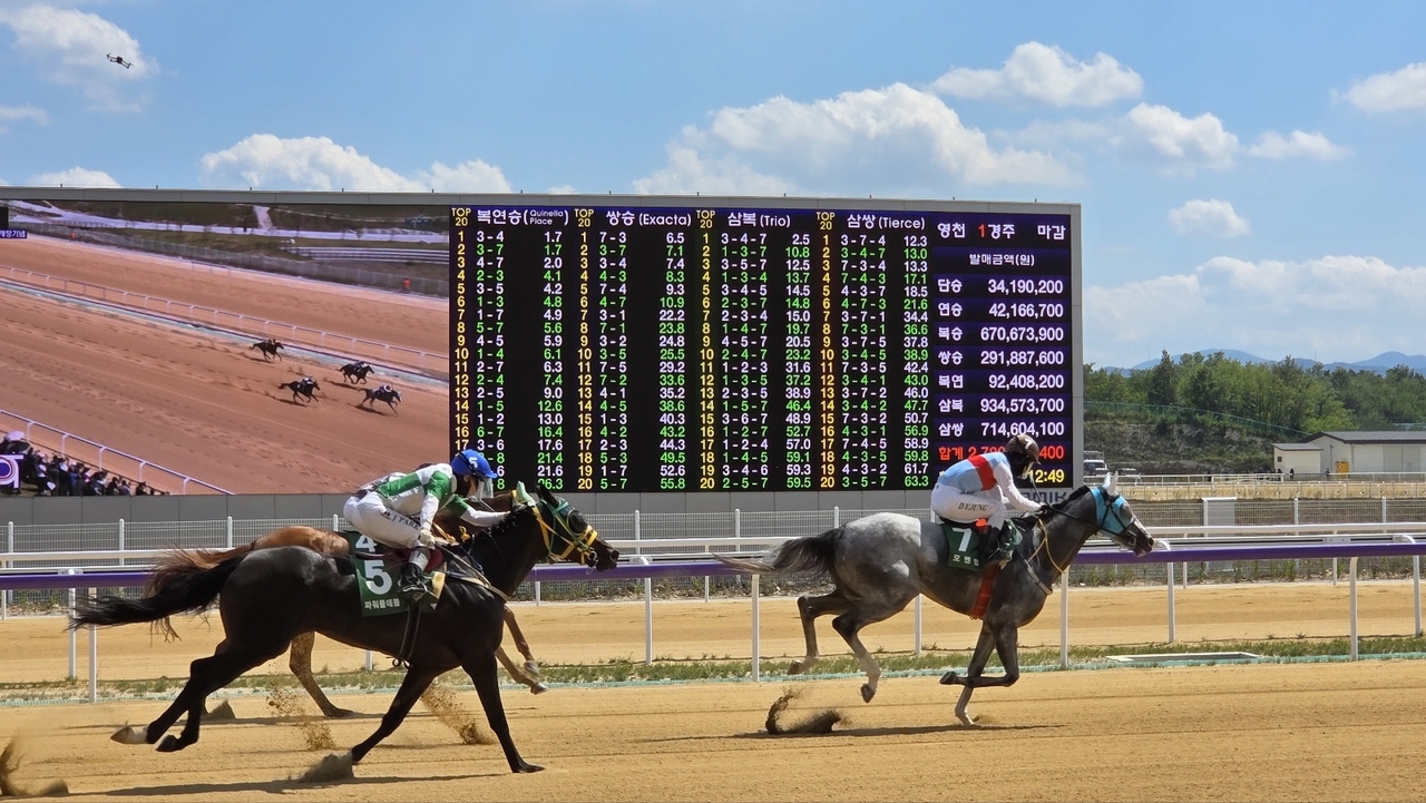 Racehorses kick up dust during an opening-day commemorative race at Let's Run Park Yeongcheon on Sunday afternoon. [Photo by Kim Byung-jin]