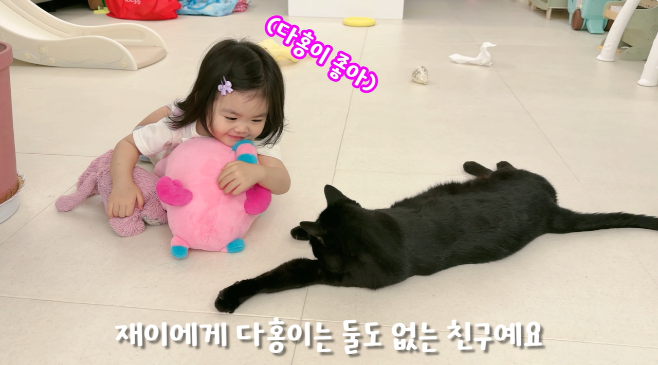 박수홍 유튜브 캡처