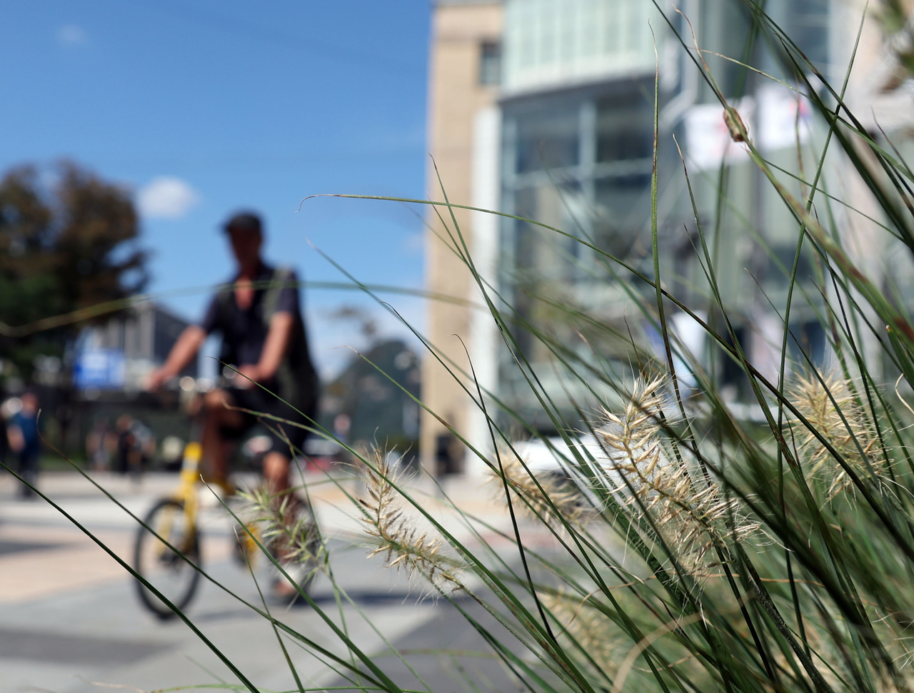 A resident cycles through Cheonggyecheon Plaza in Seoul on a clear autumn day on Wednesday.