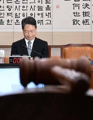 이런 정치