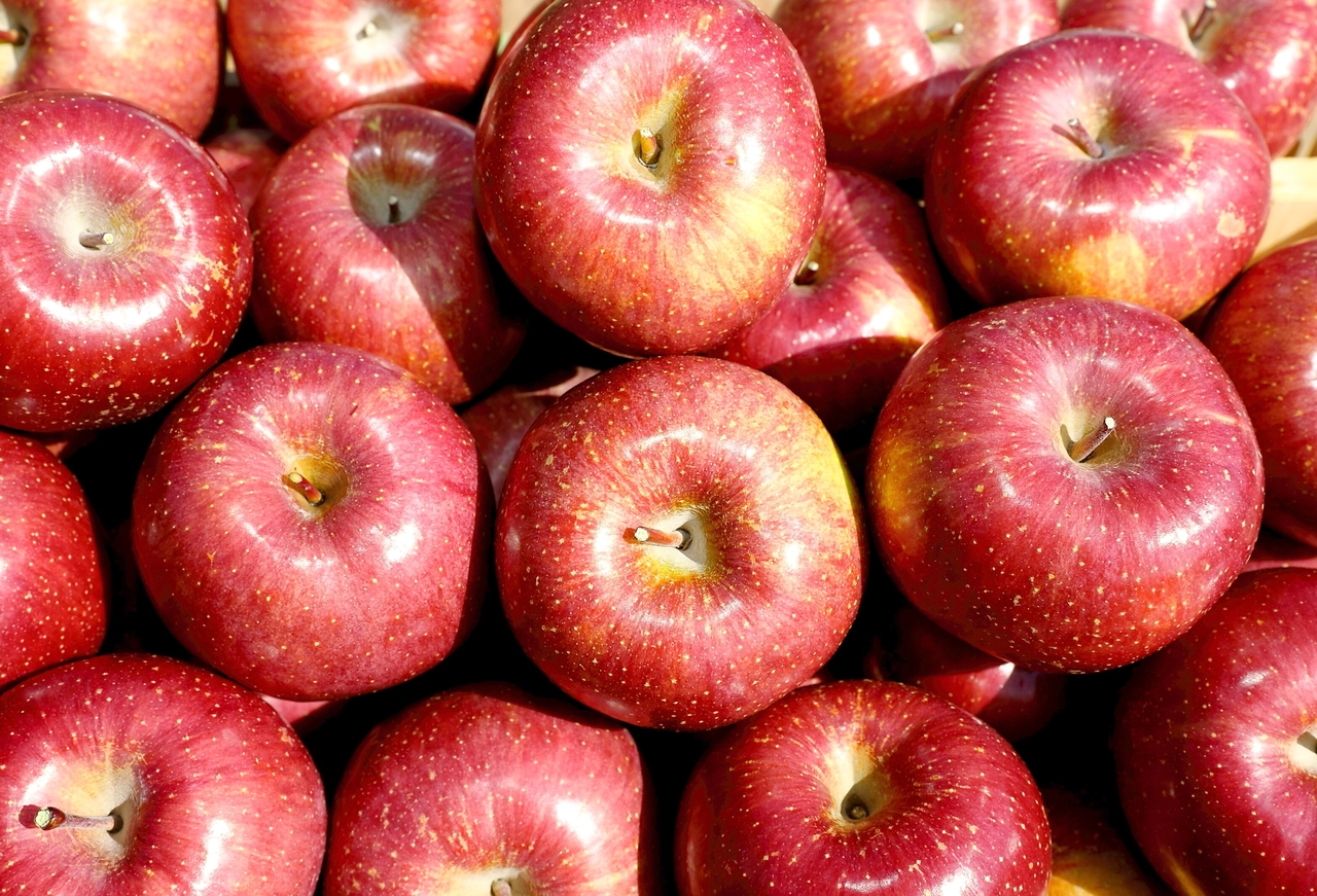 Apples from Yanggu-gun, grown in the clean highland terrain near the Punchbowl