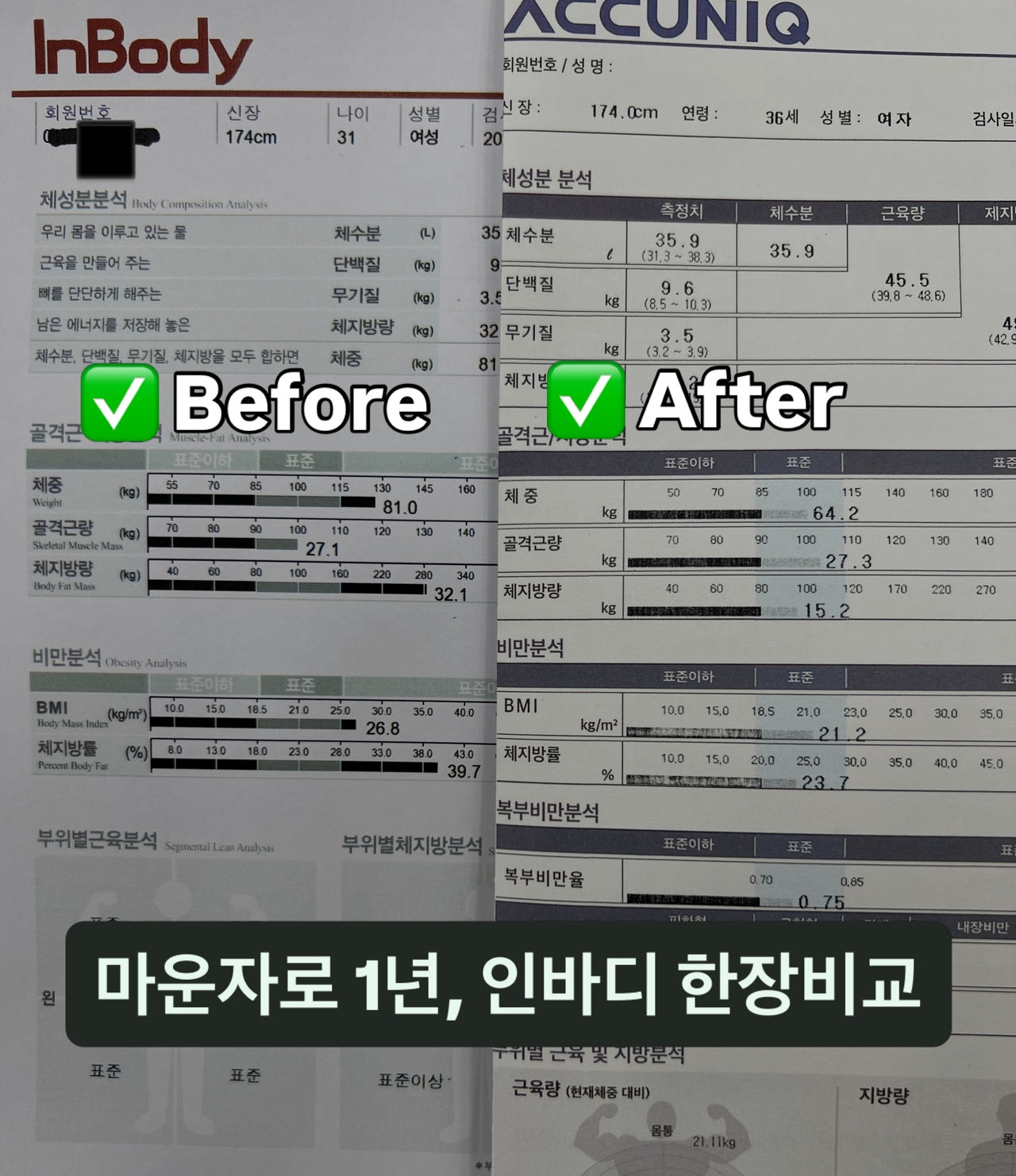 씬님 채널