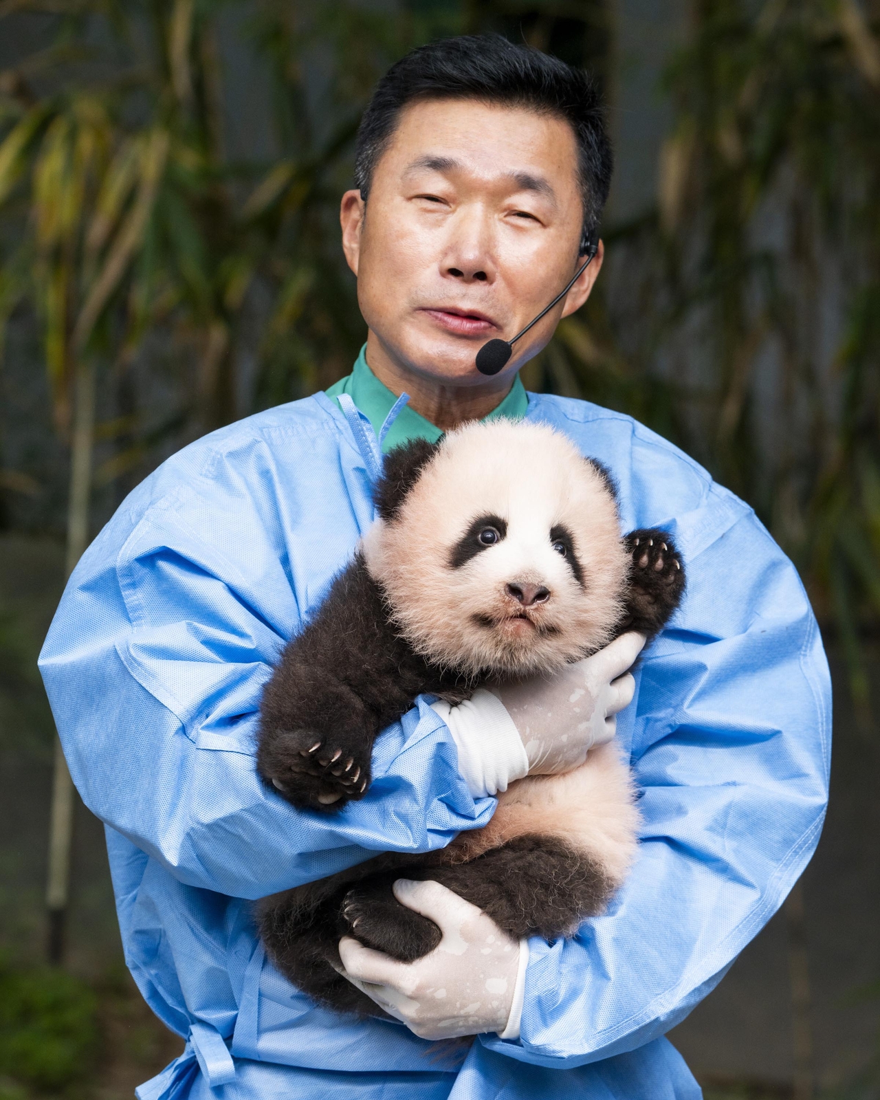 Zookeeper Kang Cheol-won holds Shu Bao, Everland's newest giant panda cub, at an event unveiling the cub's name at the theme park in Yongin, Gyeonggi Province, Sept. 11. (Samsung C&T)