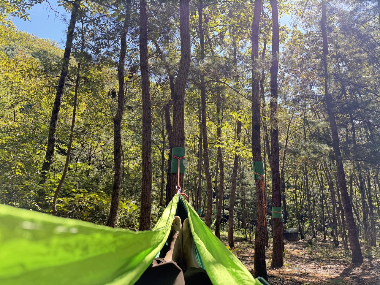 Nap time on a hammock at the National Center for Forest Activities in Chuncheon, Gangwon Province (Hong Yoo/The Korea Herald)