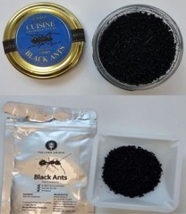 Michelin two-star restaurant fined for serving ant dessert