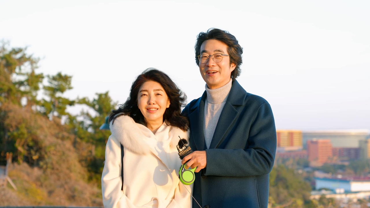 홍혜걸 채널