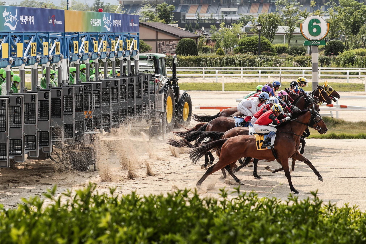 Korea Racing Authority