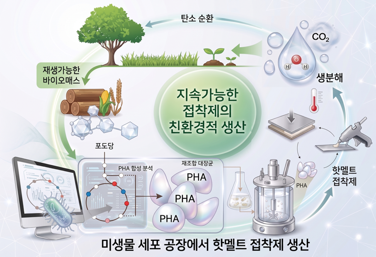 A schematic summary of the research. [KAIST]