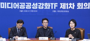Democratic Party launches media TF, vows to pass media bills in regular session
