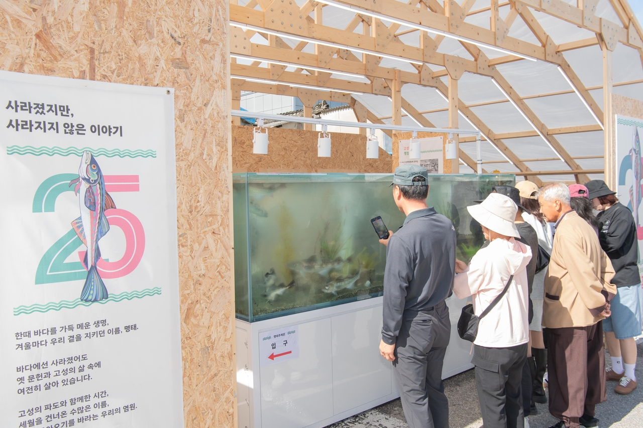 The festival reflects local residents' determination to preserve the pollock heritage of Goseong.