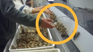 지구, 뭐래?