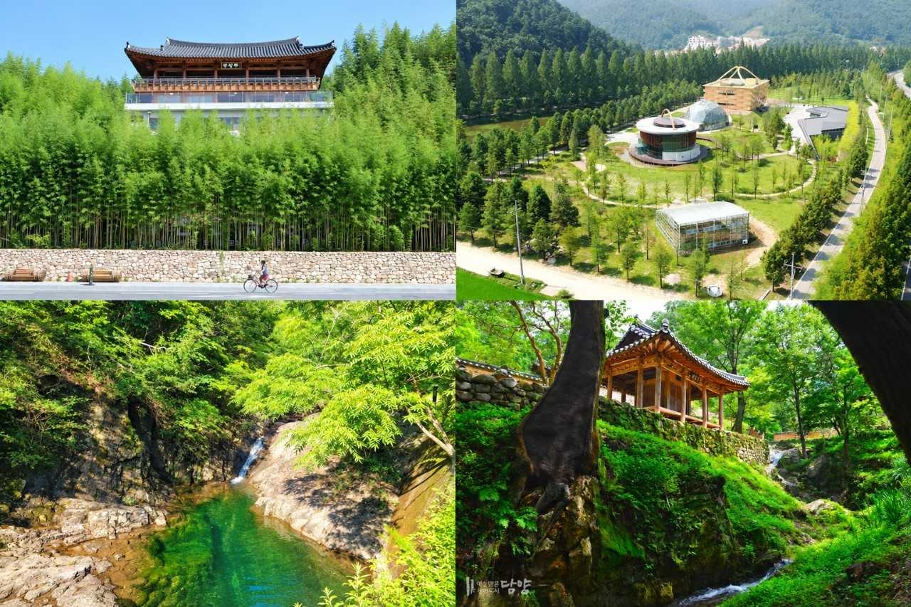Damyang-gun will open major tourist attractions free of charge and deploy special tourism guidance teams during the Chuseok holiday to assist visitors and returning residents.