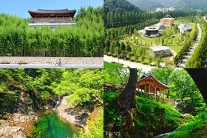 담양군, 추석 당일 죽녹원·소쇄원 무료 개방