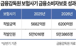 보험사기 상반기 6200억 적발