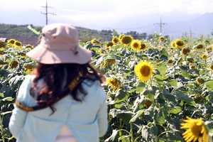 Clear skies forecast for weekend outings, but big temperature swings expected