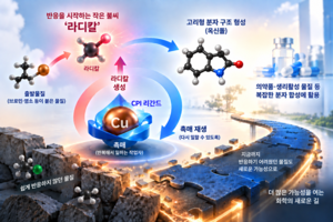 “의약품 합성, 어려운 화학반응도 척척”…KAIST, 새 촉매 기술 개발