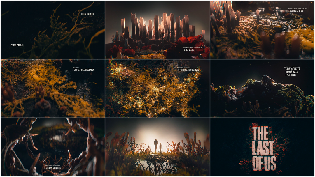 Main title sequence for "The Last of Us" (Kim Gryun)