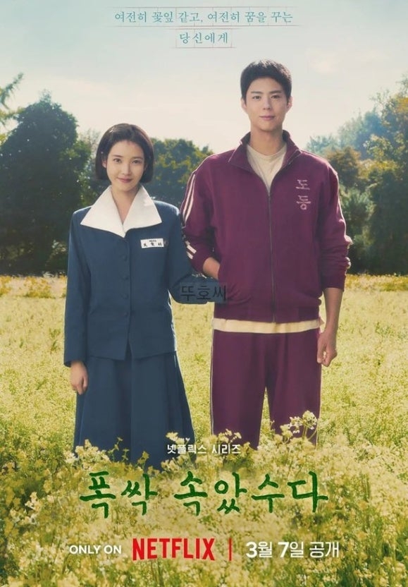 ‘폭싹 속았수다’ [사진 넷플릭스]