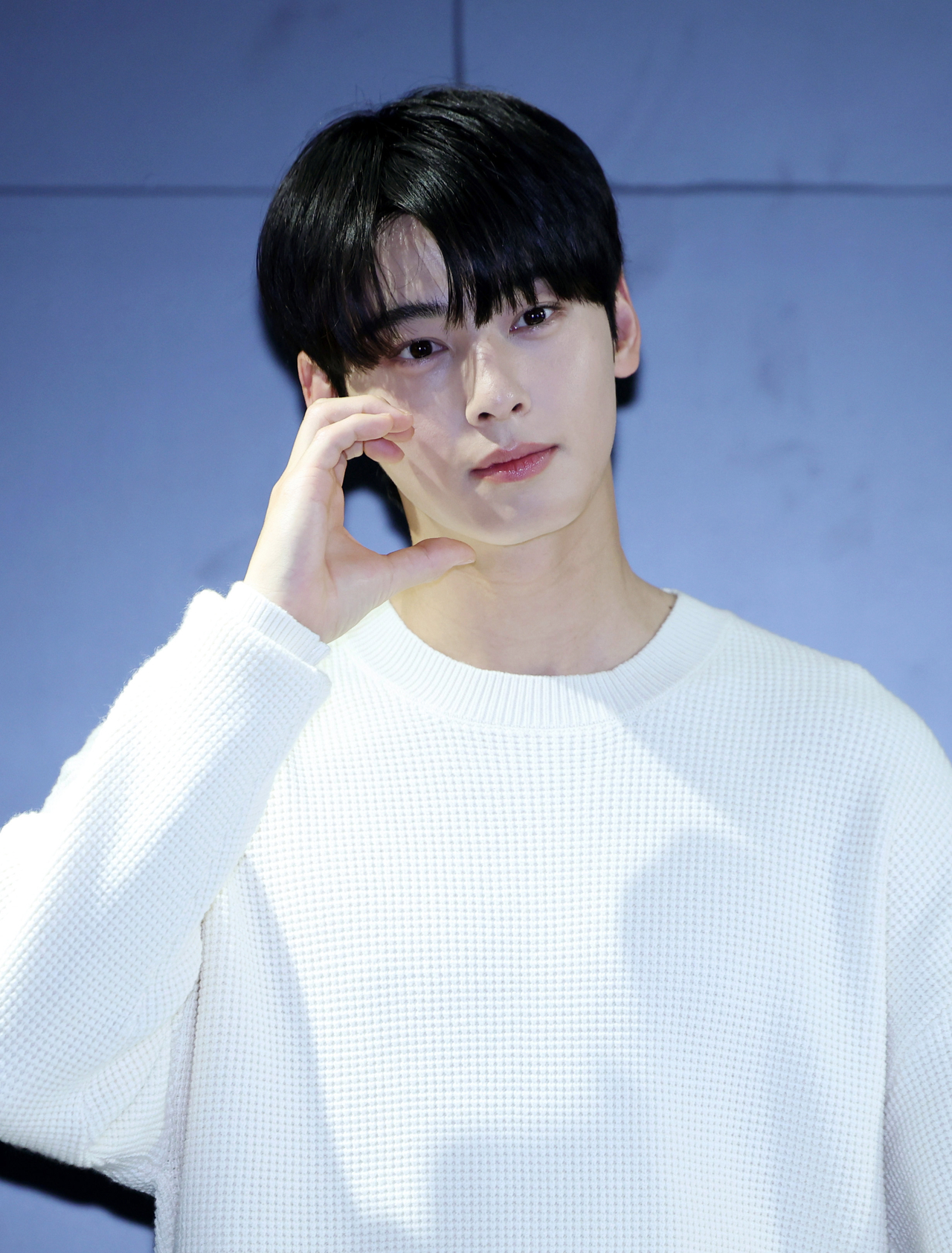 Cha Eun-woo (Newsis)