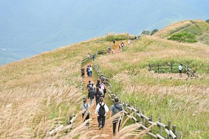민둥산 은빛물결은 요맘때 동해파도 압도한다..억새축제 52일 대장정[함영훈의 멋·맛·쉼]