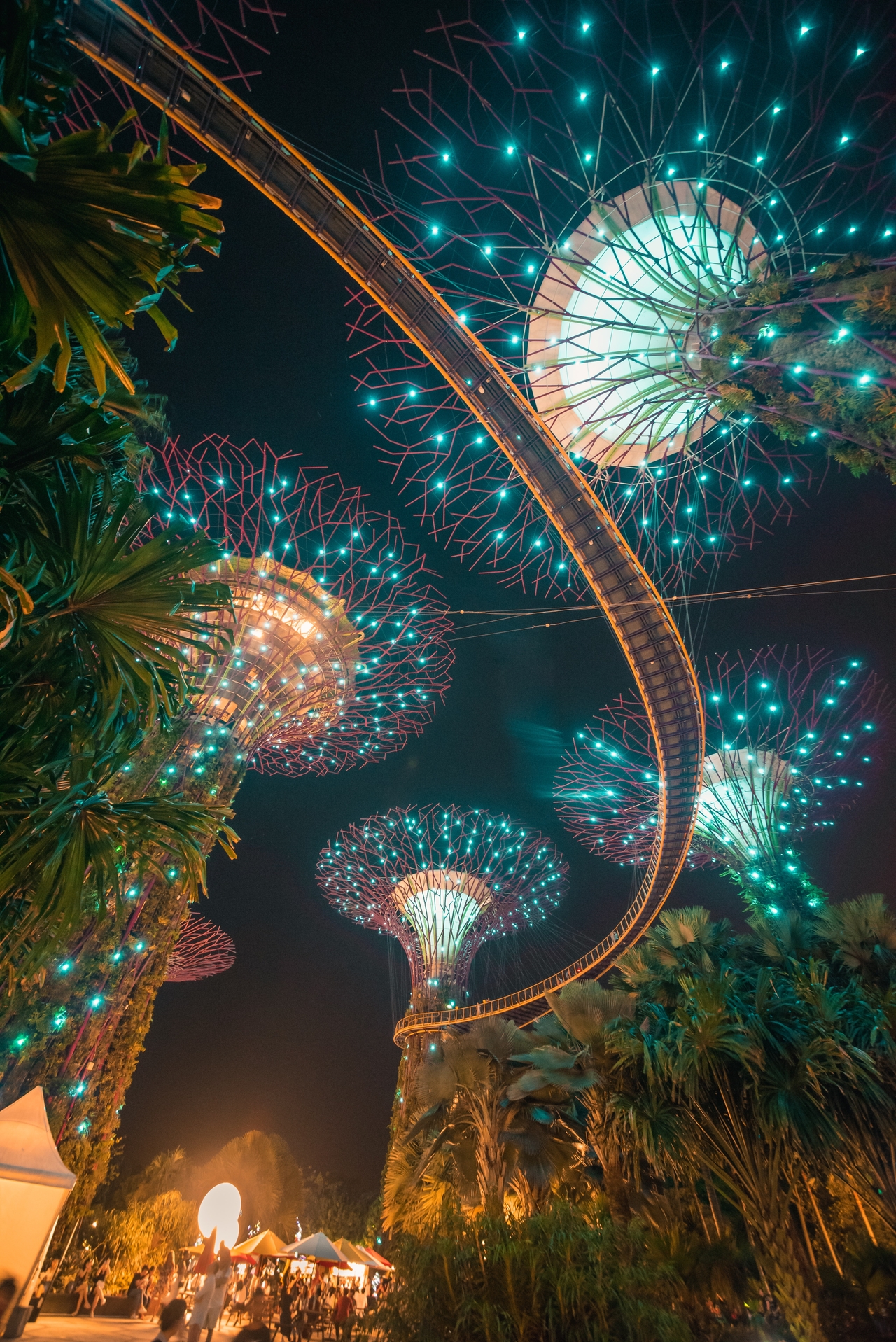 A nighttime view of Gardens by the Bay in Singapore